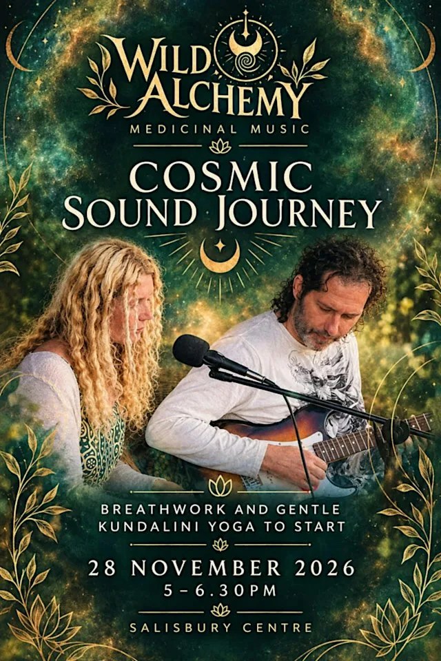 Wild Alchemy — Medicinal Music Cosmic Sound Journey
