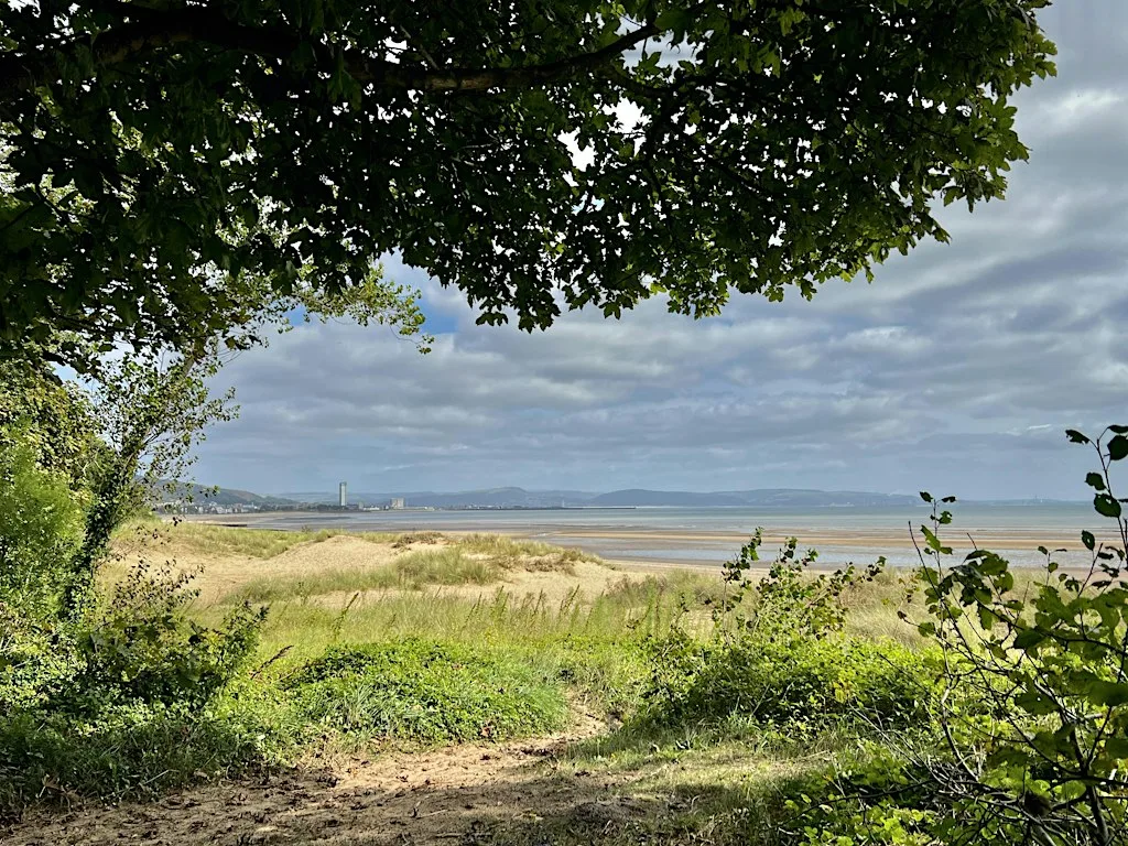 Nature Ramble on Swansea Dunes - An Intro to Biological Recording at Sketty Lane - Foreshore Car Park