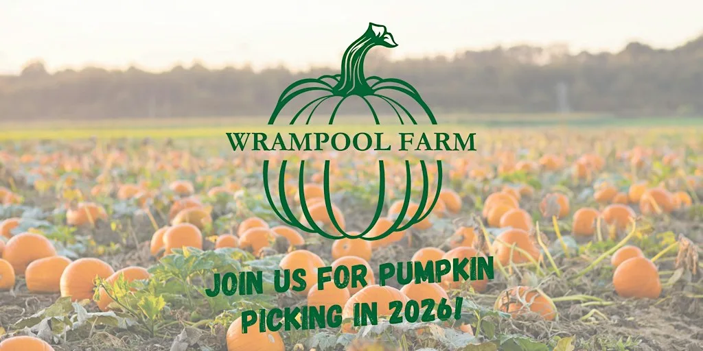 Wrampool Farm - Pick your own Pumpkin 2026!