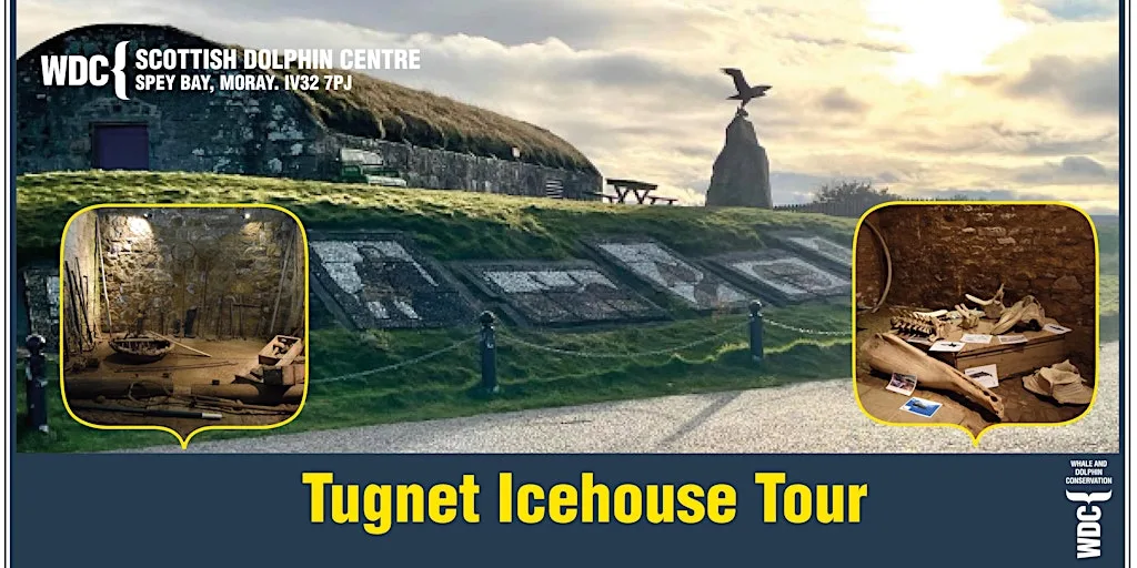 Scottish Dolphin Centre Tugnet Icehouse Tour at WDC Scottish Dolphin Centre