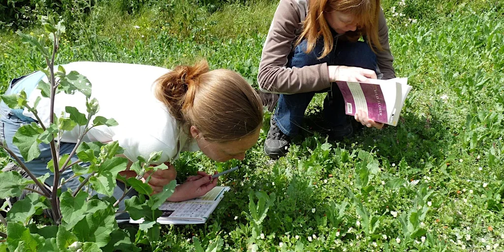 Botany Evening Classes - Maidstone at Tyland Barn