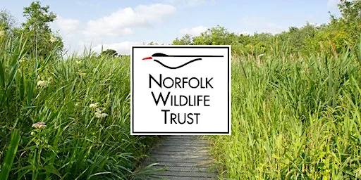 Wilder Communities - Gressenhall Community Tree Nursery at Gressenhall Farm and Workhouse