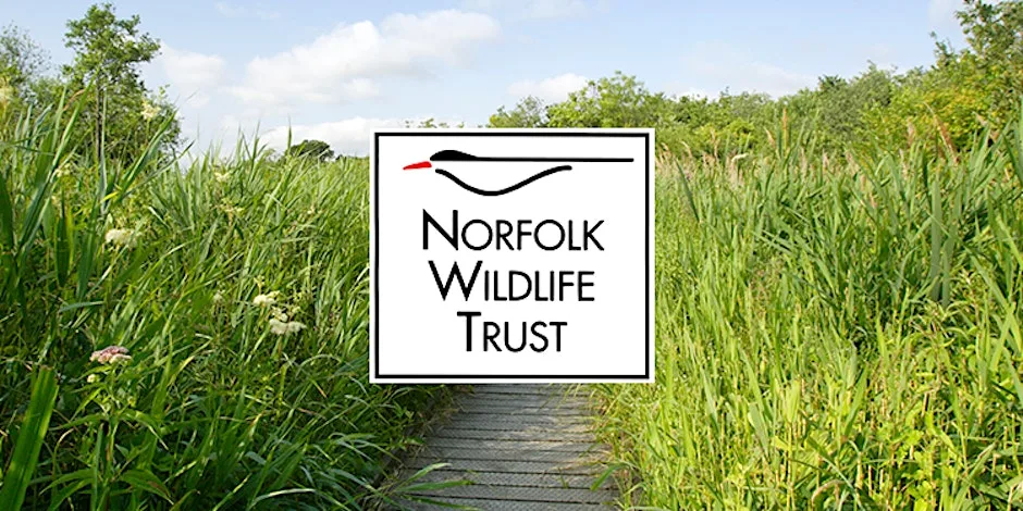 Wilder Communities - Gressenhall Community Tree Nursery at Gressenhall Farm and Workhouse