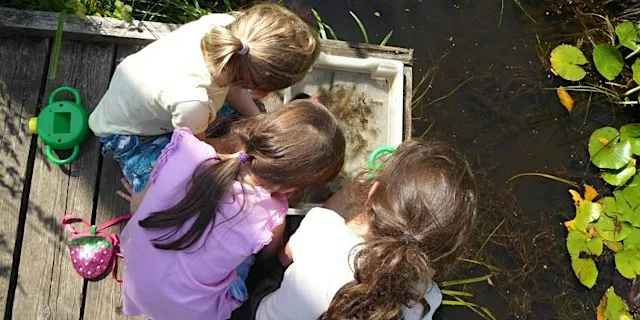 Pond Dipping at Ryton Pools Country Park at Ryton Pools Country Park