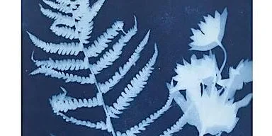 Introduction to Cyanotype Printmaking at Carousel Print Studio, Exchange Place Studios