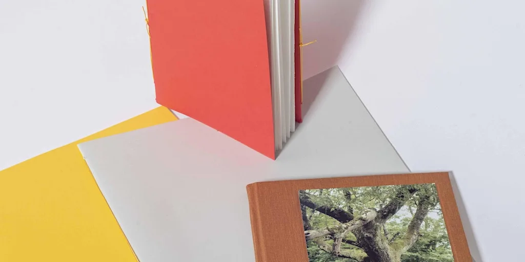 Introduction to bookbinding 5 week evening class