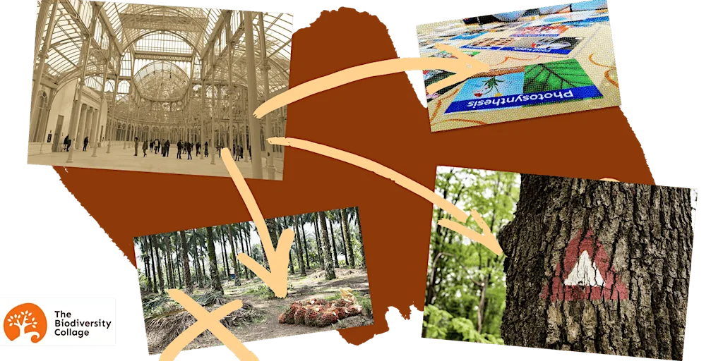 Acomb Fest: Get to grips with the ecological crisis: Biodiversity Collage