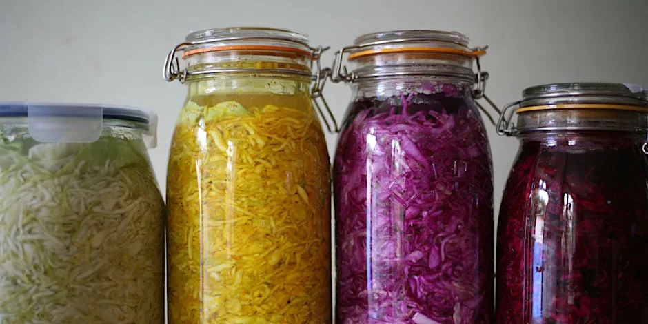 Full day fermentation deep-dive at Shillingford Organics