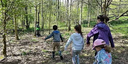 Summer Holiday Forest School Activities 2026