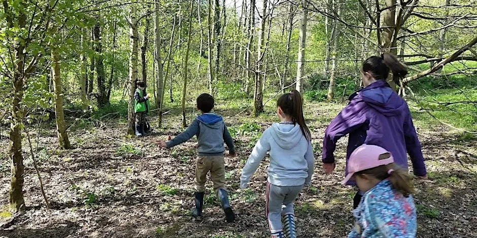 Summer Holiday Forest School Activities 2026