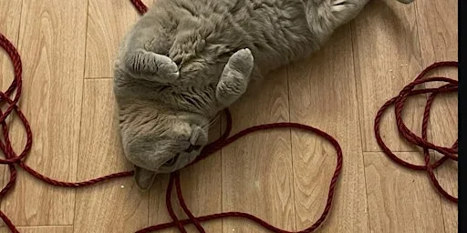 SaturdayShibari Sep 2026 at Private venue (off A63, Ferriby exit)