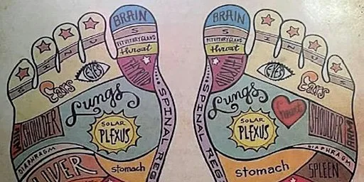 Level 3 Diploma in Reflexology (Ticket price is deposit only) at Ayrshire Healing Centre