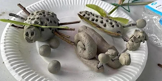 Crickets, Grasshoppers & Butterfly hunt with Clay Craft at Great Lines Heritage Park