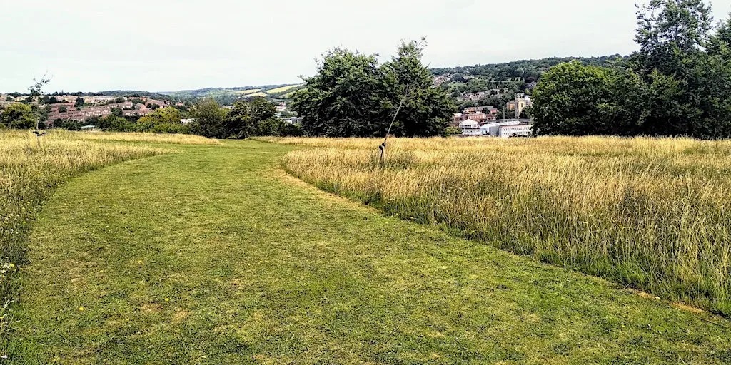 Green Thursday at Tom Burt's Hill