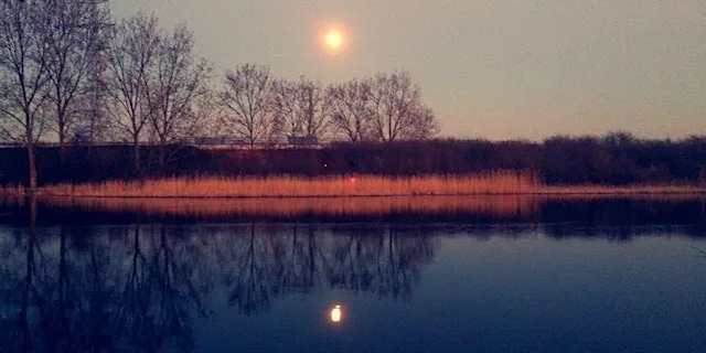 Bat Walk at Milton Creek Country Park