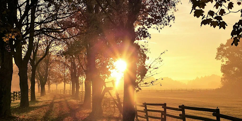 Autumnal Arriving - A Mindfulness Day Retreat at Castle Barna Wellness Centre