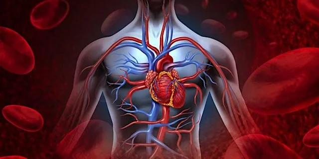 RBH Vascular Care Student Seminar (UHD Students only) at Education Department, Royal Bournemouth Hospital
