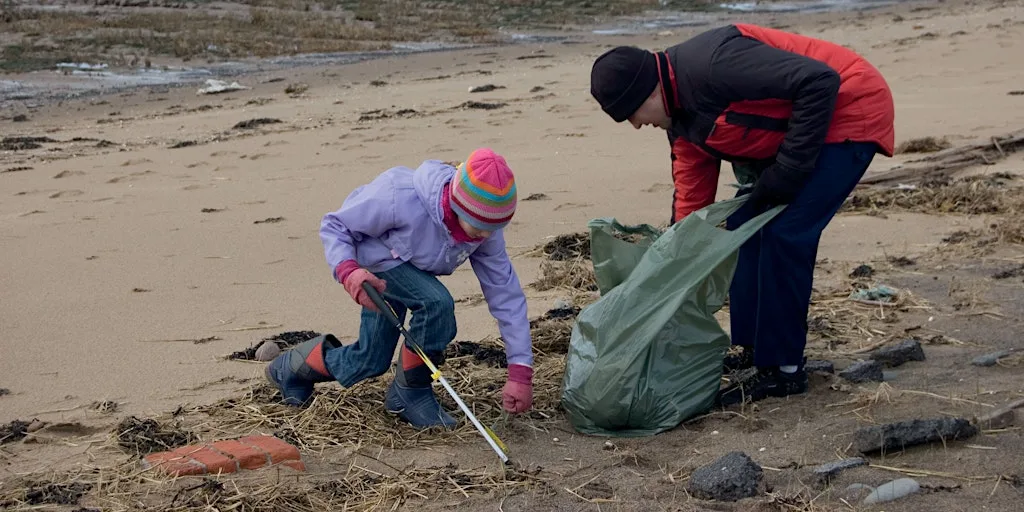 Spurn Summer Beach Clean