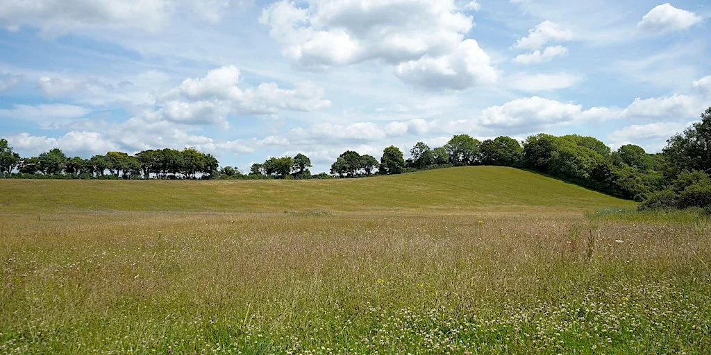 Dean Farm Wildlife Survey Taster Morning.Bring a picnic & enjoy the view 2! at Dean Farm Meadow