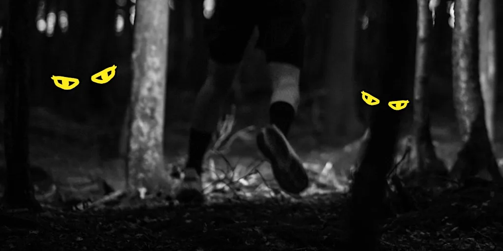 SSX Night Hike 2026 at East Grinstead