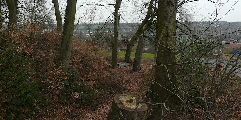 Desborough Castle - woodland maintenance day