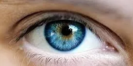 Pan-Ireland Ophthalmology Day (POD) 2026 at Assembly Buildings