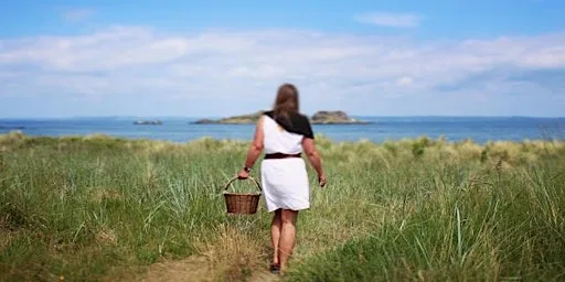 Summer Coast at Silver Sands Beach, Aberdour