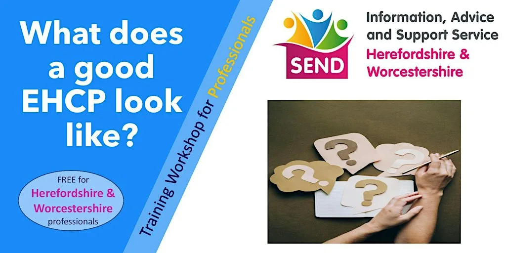 What does a good Education Health & Care Plan look like? for Professionals at County Enterprise Workshop