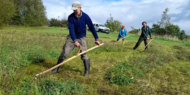 Learn to Scythe Aug 2026 - Yorkshire Dales at Broadrake