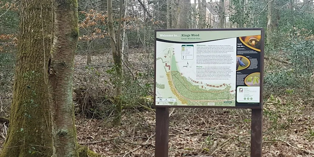AXA Kingswood Woodland Day