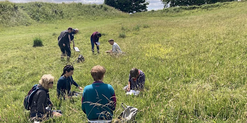 Winter Grass Identification at Old Sarum
