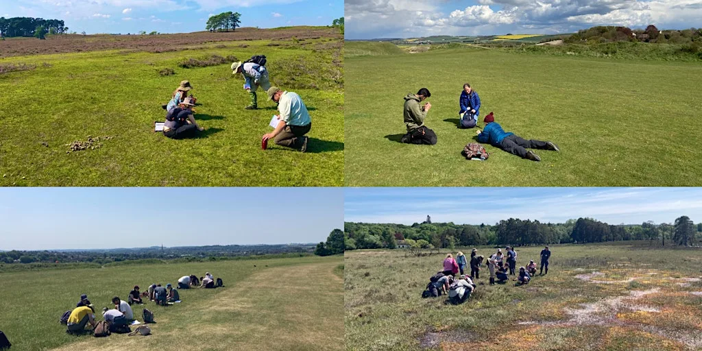 Habitat Indicator Species - 2 day course at Old Sarum Castle