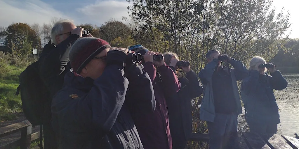 Birdwatching – Understanding More About Autumn Birds (Wednesdays) at Tegg's Nose Country Park