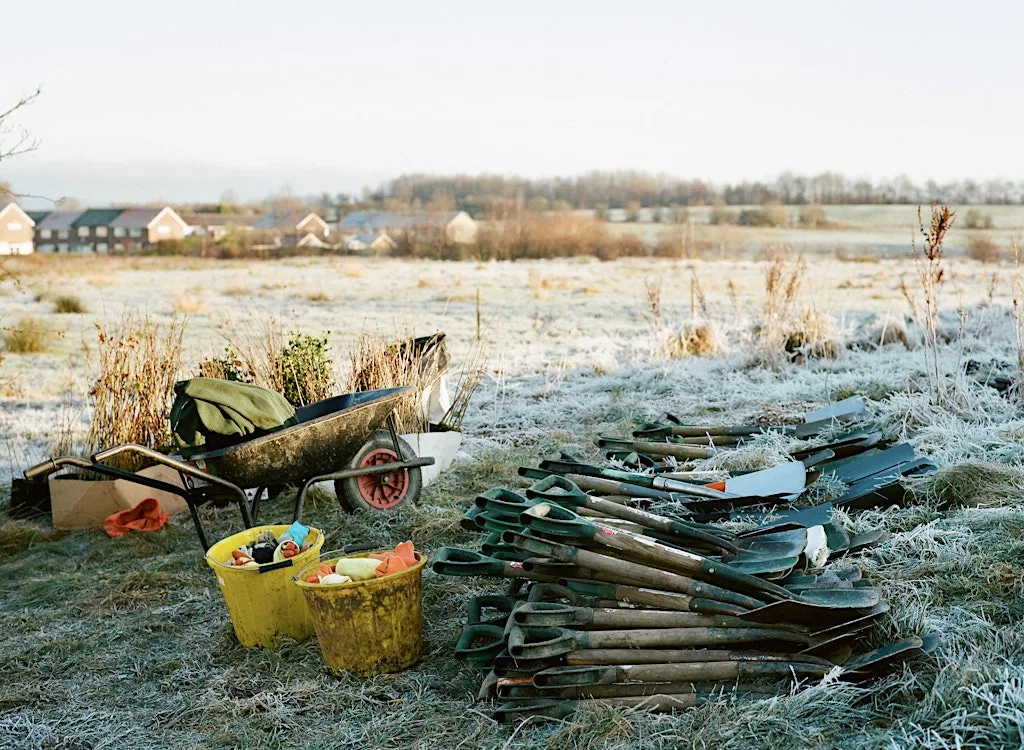 Citizen Forester Tree Maintenance and Planting at Madamswood, Salford