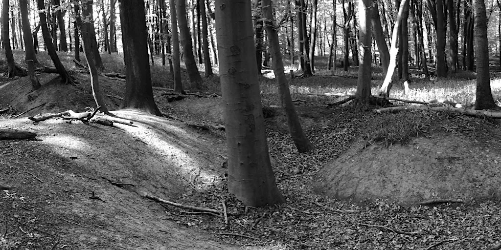 WW1 Practice Trenches guided tour at Hill End Outdoor Education Centre