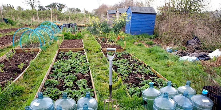 The Joy of Growing: What to plant now for harvests in the Spring at Lower Metherell