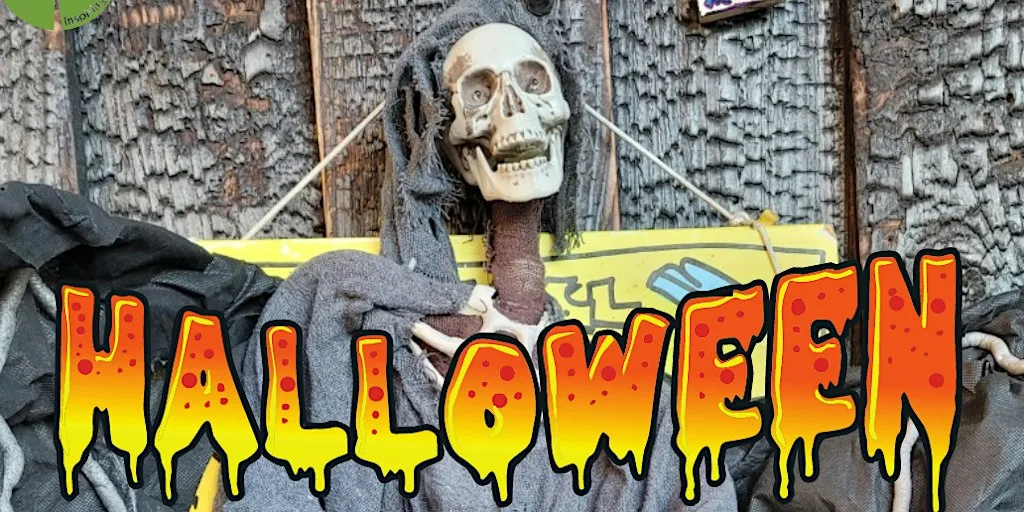 Bridgend Farmhouse annual terroriffic Halloween Party