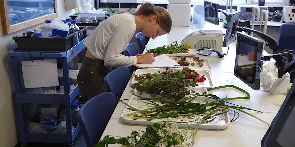 Botany Evening Classes - Canterbury at Canterbury Christ Church University (North Holmes Road Campus)