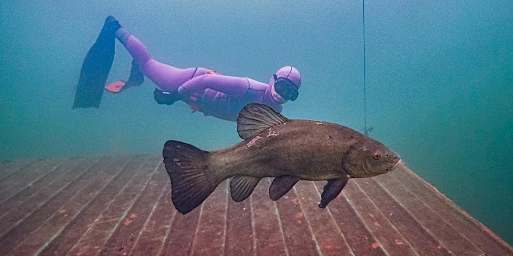 NoTanx Freediving - Colchester Monday Session at Leisure World
