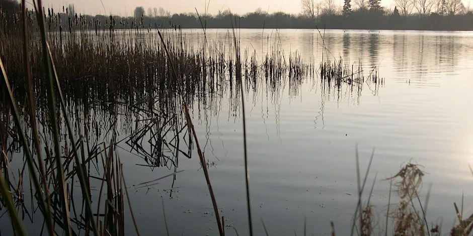 Blashford Lakes Young Naturalists at Blashford Lakes Nature Reserve