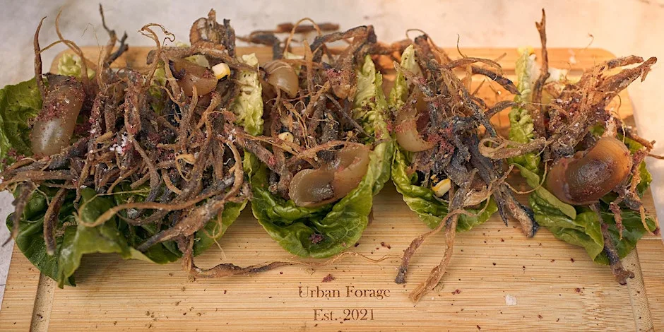 Forage and Feast Forage walk with Wild Lunch, Brighton Foraging. Vegan at Urban Forage