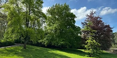 Sydney Gardens Tree Walk