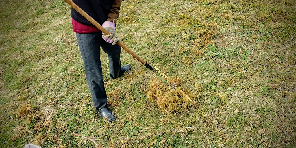 Green Thursday Deangarden Woodland Day at Abbey Barn Park