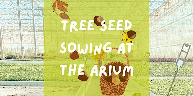 Seed Sowing Fridays!