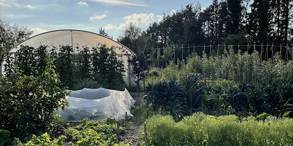 Fridays Community Farming Sessions and Farm open to visitors - 10am to 1pm at Oxford City Farm