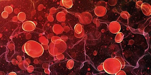 Fundamentals in Haematology Education Course 2026