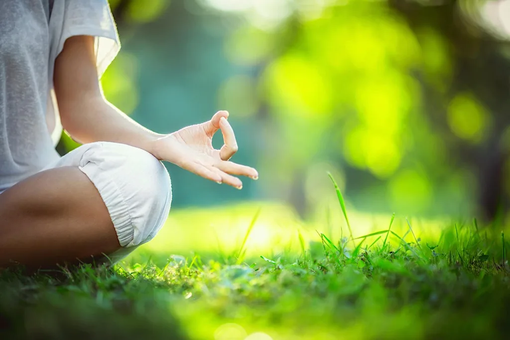 2026 Cork Mind Body Experience at Cork City Hall