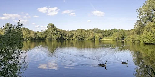 Wellesley Woodlands Health Walk - Chalk Farm Lake