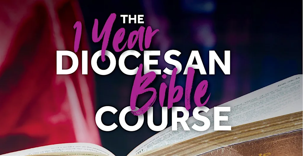 1-Year Diocesan Bible Course (Dollingstown)