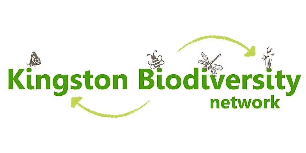 Kingston Biodiversity Network July Meeting at Kingston University Penrhyn Road Campus